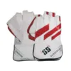 SS-Dragon-Wicket-Keeping-Gloves-Senior