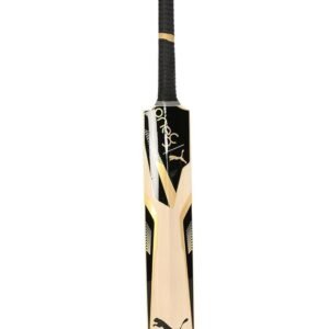 PUMA-x-one8-2.1-Kashmir-Willow-Cricket-Bat