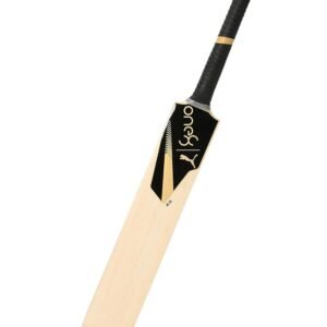PUMA-x-one8-2.1-Kashmir-Willow-Cricket-Bat