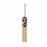 SG Roar Xtreme Cricket Bat