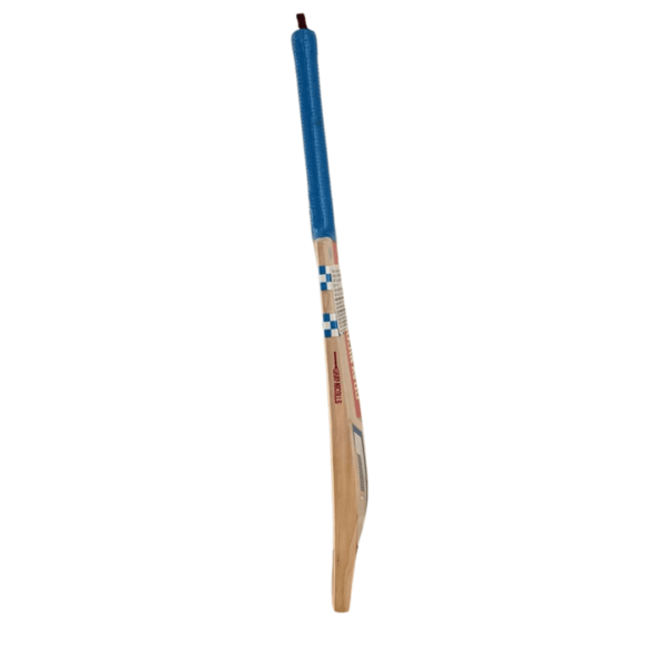 Gray-Nicolls GN3 Delta (SH)