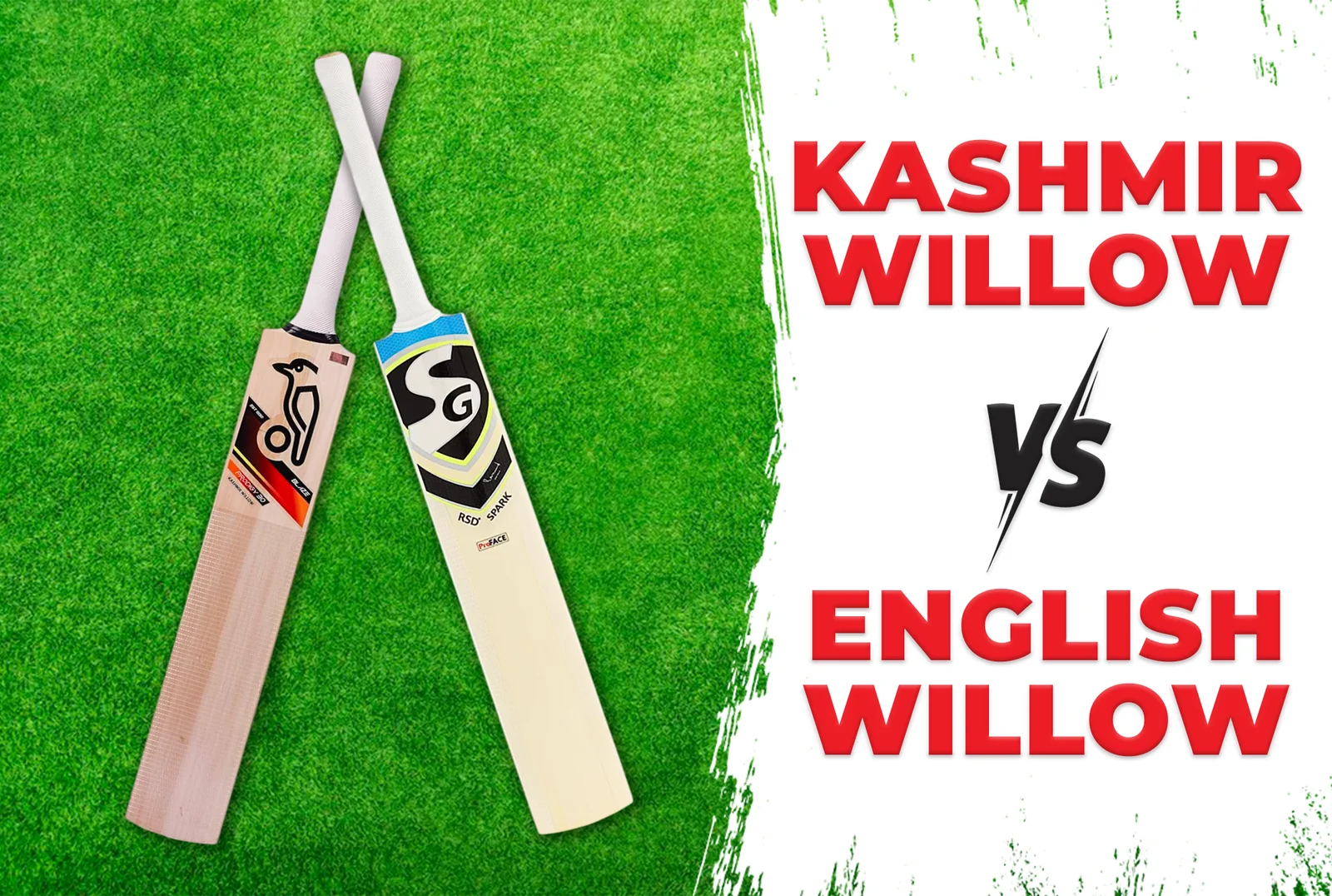 Kashmir Willow vs English Willow