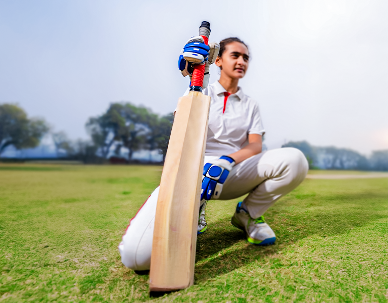 Cricket bat grains