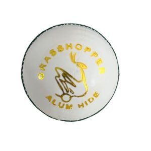 White Leather Cricket Ball
