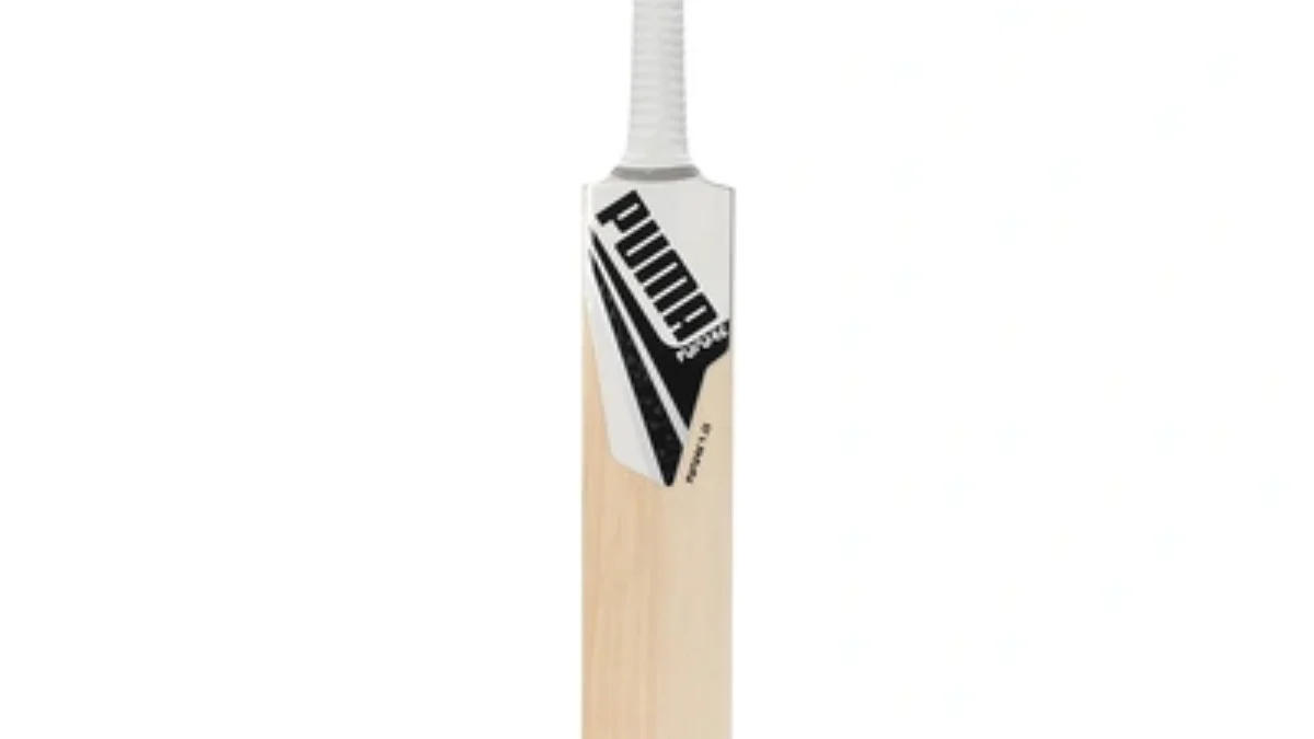 Kashmir Willow Cricket Puma Cricket Gear PUMA Evo Speed 2500