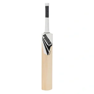 Puma Future 1.1 Kashmir Willow Bat