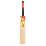 Puma Future 2.1 Kashmir Willow Cricket Bat