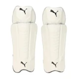 Puma Future 1 Wicket Keeping Pads