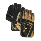 Puma One8 2.5 Wicket Keeping Gloves