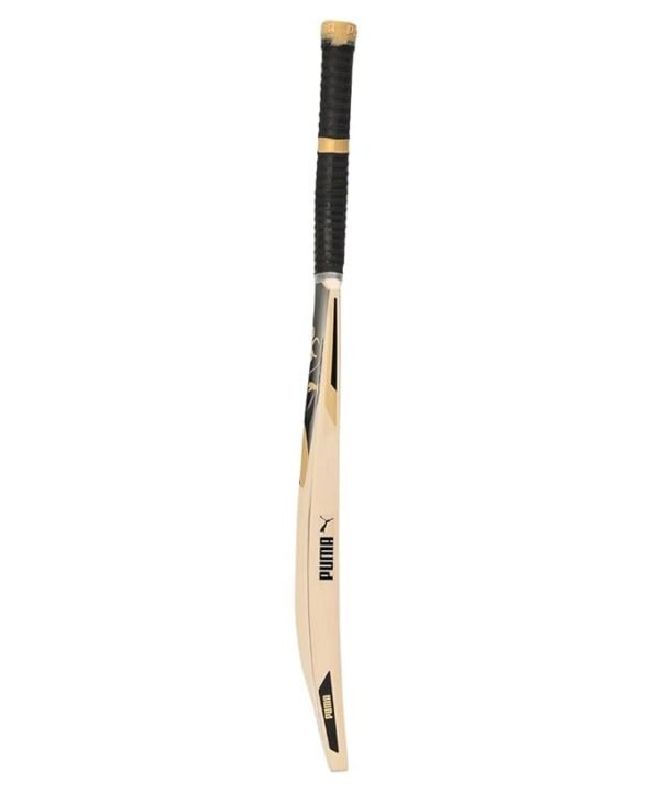 Puma One8 2.1 Kashmir Willow – Dominate the Pitch | Black - Gold