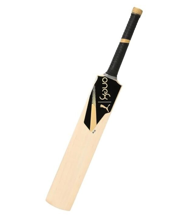 Puma One8 2.1 Kashmir Willow – Dominate the Pitch | Black - Gold