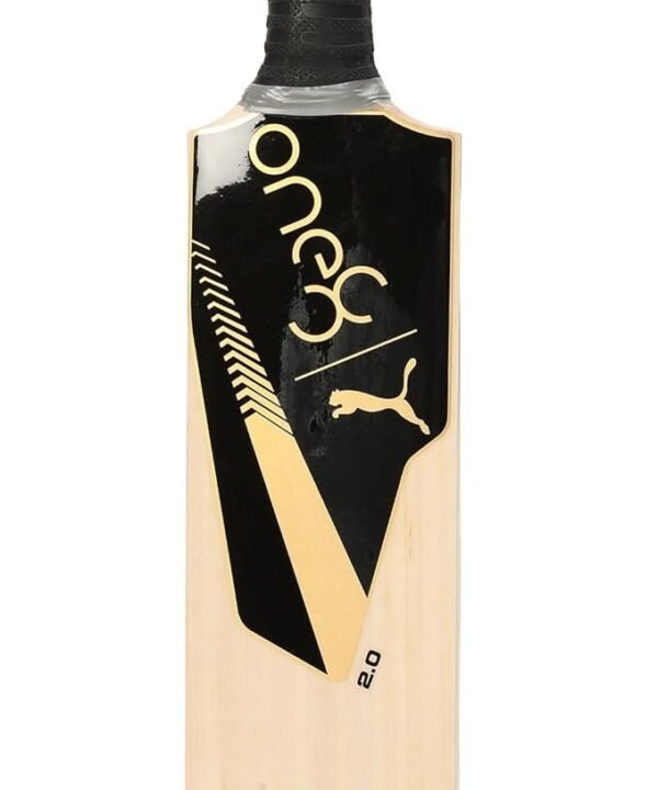 Puma One8 2.1 Kashmir Willow – Dominate the Pitch | Black - Gold