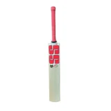 SS Sky Super Kashmir Willow Bat