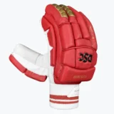 DSC Flite 20/20 Batting Gloves Red