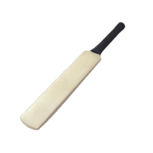 Autograph Cricket Bat