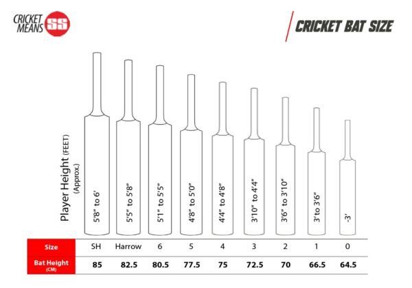 TON Special Edition English Willow Bat | SH