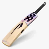 DSC Condor Flicker Kashmir Willow Cricket Bat
