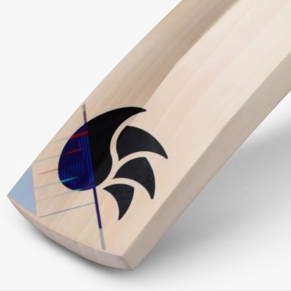 DSC Cynos 4040 English Willow Bat | (Harrow/Compact)