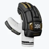 DSC Flite 20/20 Batting Gloves