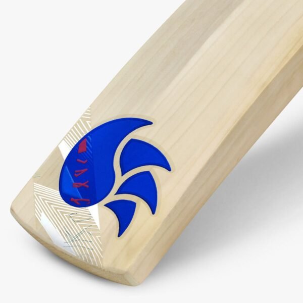 DSC Intense Ferocity English Willow Bat (Harrow)