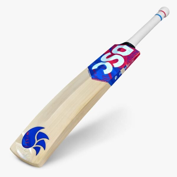 DSC Intense Ferocity English Willow Bat (Harrow)