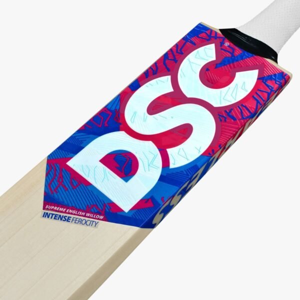 DSC Intense Ferocity English Willow Bat (Harrow)