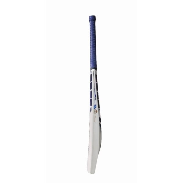 SS Sky MS English Willow Cricket Bat SH