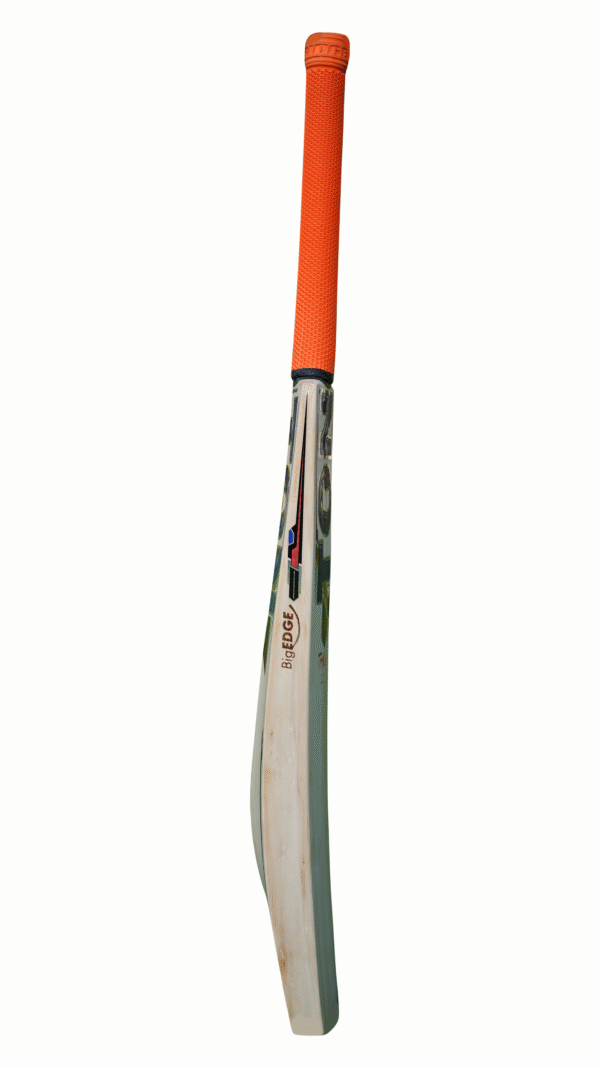 SS Dhoni Thala 2.0 English Willow Cricket Bat – SH | Grade 1