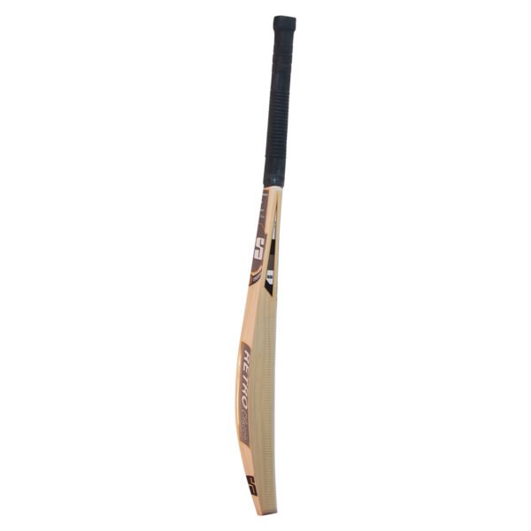 SS VA-900 Ruby Kashmir Willow Cricket Bat – SH